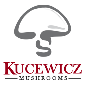 Pieczarki Kucewicz